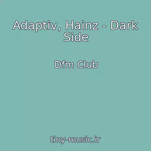 کاور آهنگ Adaptiv, Hainz - Dark Side از Dfm Club