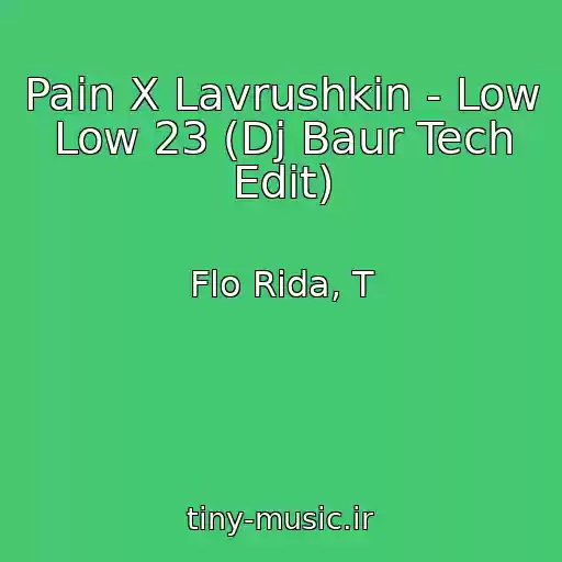 کاور آهنگ Pain X Lavrushkin - Low Low 23 (Dj Baur Tech Edit) از Flo Rida, T