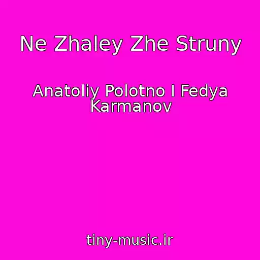 کاور آهنگ Ne Zhaley Zhe Struny از Anatoliy Polotno I Fedya Karmanov