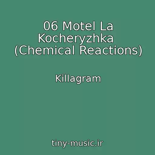 کاور آهنگ 06 Motel La Kocheryzhka  (Chemical Reactions) از Killagram