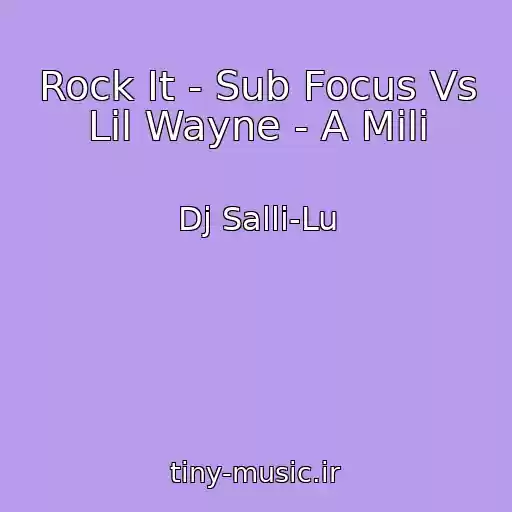 کاور آهنگ Rock It - Sub Focus Vs Lil Wayne - A Mili از Dj Salli-Lu