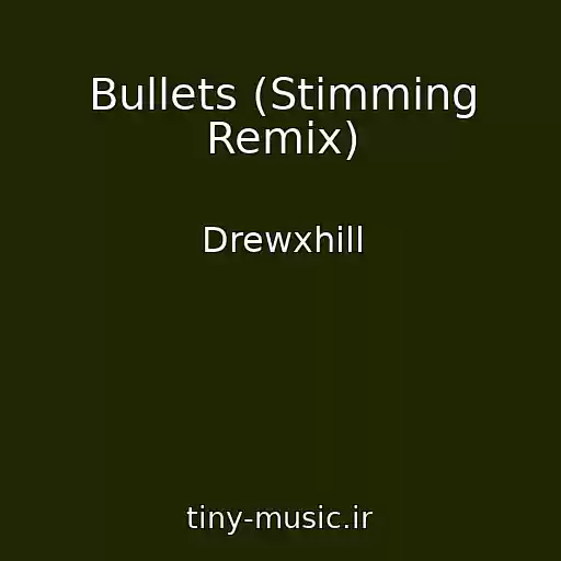 کاور آهنگ Bullets (Stimming Remix) از Drewxhill