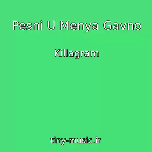 کاور آهنگ Pesni U Menya Gavno از Killagram
