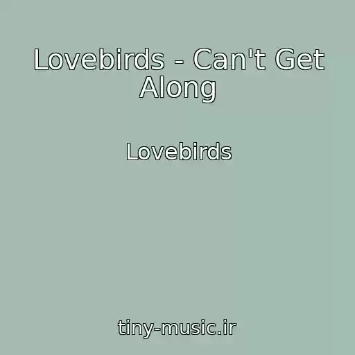 کاور آهنگ Lovebirds - Can't Get Along از Lovebirds
