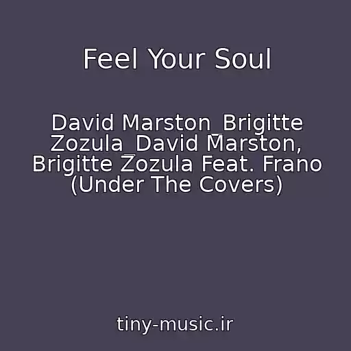 کاور آهنگ Feel Your Soul از David Marston_Brigitte Zozula_David Marston, Brigitte Zozula Feat. Frano (Under The Covers)