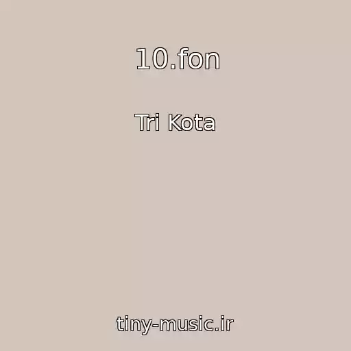 کاور آهنگ 10.fon از Tri Kota