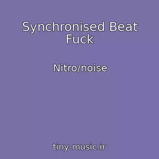 کاور آهنگ Synchronised Beat Fuck از Nitro/noise