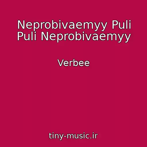 کاور آهنگ Neprobivaemyy Puli Puli Neprobivaemyy از Verbee