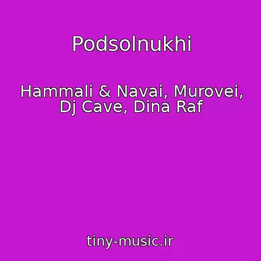 کاور آهنگ Podsolnukhi از Hammali & Navai, Murovei, Dj Cave, Dina Raf