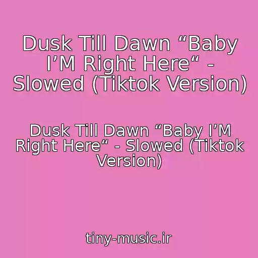 کاور آهنگ Dusk Till Dawn “Baby I’M Right Here“ - Slowed (Tiktok Version) از Dusk Till Dawn “Baby I’M Right Here“ - Slowed (Tiktok Version)