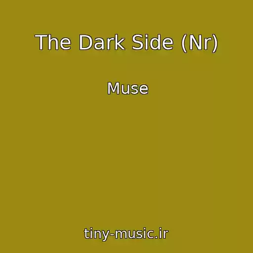 کاور آهنگ The Dark Side (Nr) از Muse