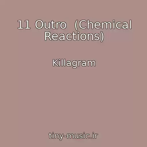کاور آهنگ 11 Outro  (Chemical Reactions) از Killagram