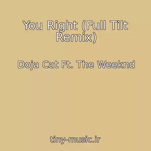 کاور آهنگ You Right (Full Tilt Remix) از Doja Cat Ft. The Weeknd