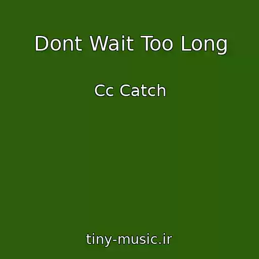 کاور آهنگ Dont Wait Too Long از Cc Catch