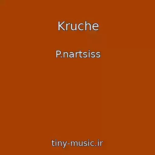 کاور آهنگ Kruche از P.nartsiss