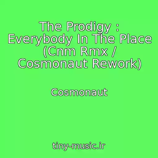 کاور آهنگ The Prodigy : Everybody In The Place (Cnm Rmx / Cosmonaut Rework) از Cosmonaut