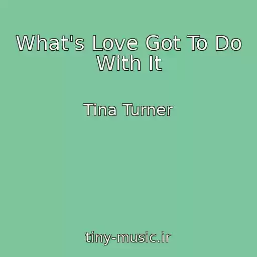 کاور آهنگ What's Love Got To Do With It از Tina Turner