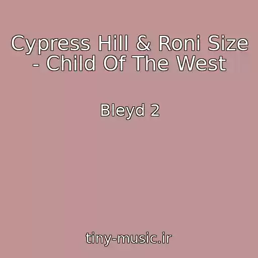 کاور آهنگ Cypress Hill & Roni Size - Child Of The West از Bleyd 2