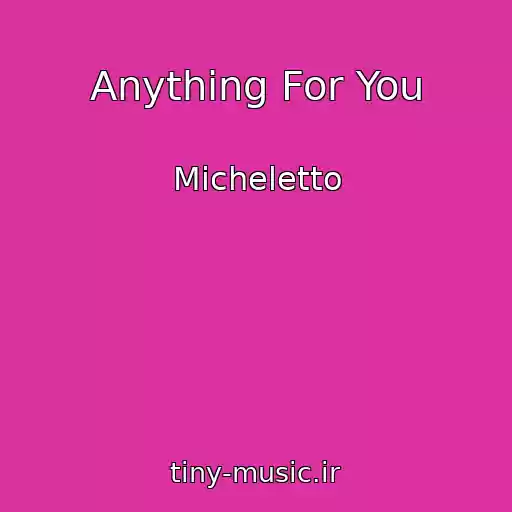 کاور آهنگ Anything For You از Micheletto
