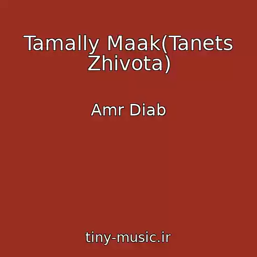 کاور آهنگ Tamally Maak(Tanets Zhivota) از Amr Diab