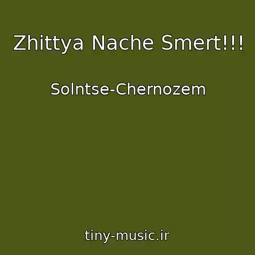 کاور آهنگ Zhittya Nache Smert!!! از Solntse-Chernozem
