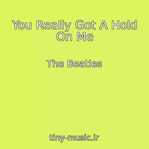 کاور آهنگ You Really Got A Hold On Me از The Beatles
