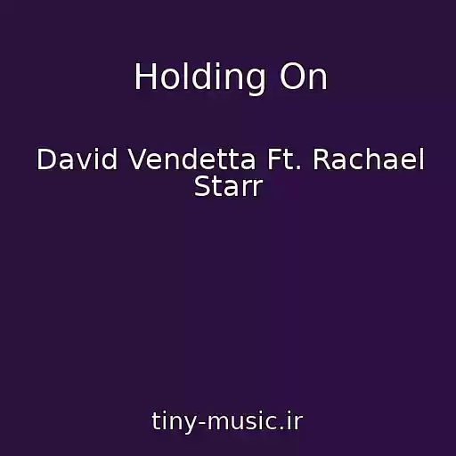 کاور آهنگ Holding On از David Vendetta Ft. Rachael Starr