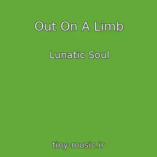 کاور آهنگ Out On A Limb از Lunatic Soul
