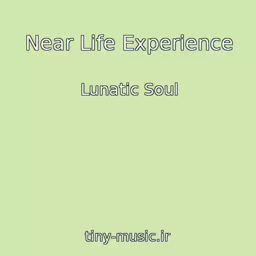 کاور آهنگ Near Life Experience از Lunatic Soul