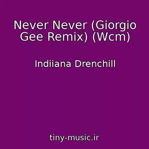 کاور آهنگ Never Never (Giorgio Gee Remix) (Wcm) از Indiiana Drenchill
