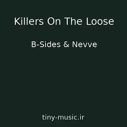 کاور آهنگ Killers On The Loose از B-Sides & Nevve