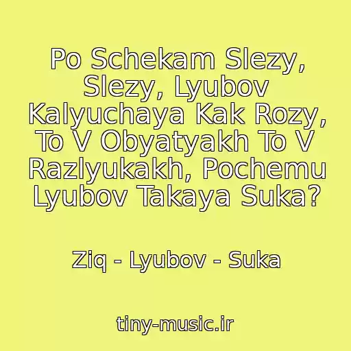 کاور آهنگ Po Schekam Slezy, Slezy, Lyubov Kalyuchaya Kak Rozy, To V Obyatyakh To V Razlyukakh, Pochemu Lyubov Takaya Suka? از Ziq - Lyubov - Suka