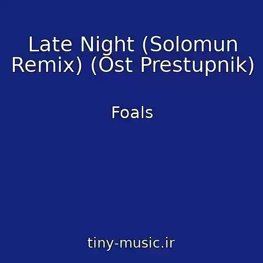 کاور آهنگ Late Night (Solomun Remix) (Ost Prestupnik) از Foals