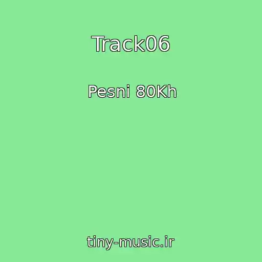 کاور آهنگ Track06 از Pesni 80Kh