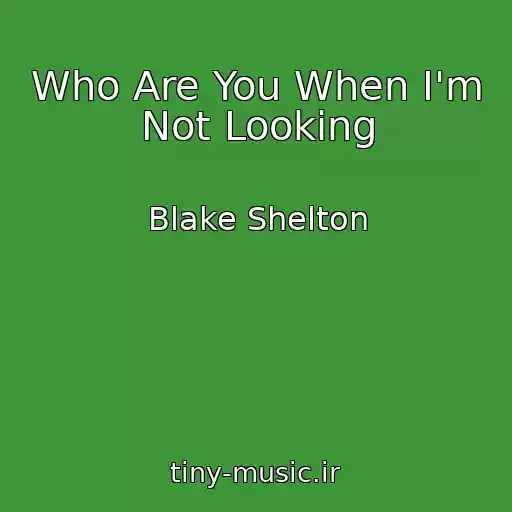 کاور آهنگ Who Are You When I'm Not Looking از Blake Shelton