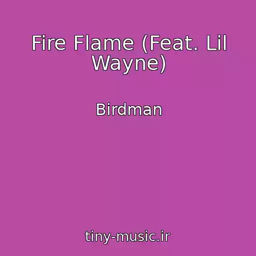 کاور آهنگ Fire Flame (Feat. Lil Wayne) از Birdman