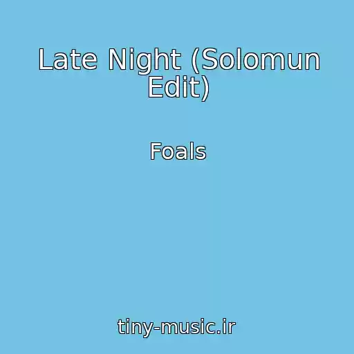 کاور آهنگ Late Night (Solomun Edit) از Foals