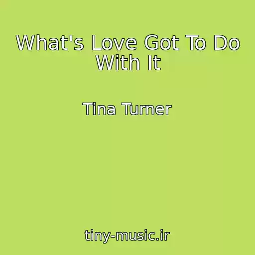 کاور آهنگ What's Love Got To Do With It از Tina Turner