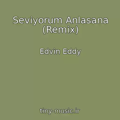 کاور آهنگ Seviyorum Anlasana (Remix) از Edvin Eddy