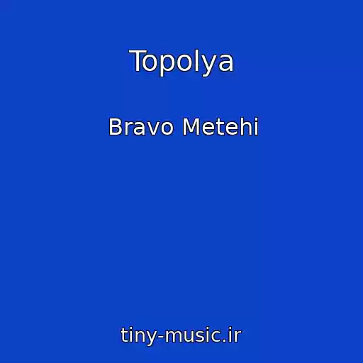 کاور آهنگ Topolya از Bravo Metehi