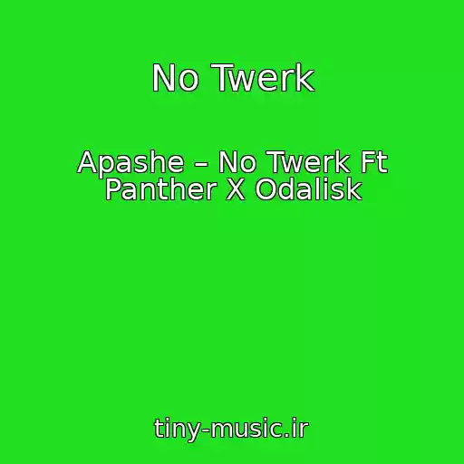 کاور آهنگ No Twerk از Apashe – No Twerk Ft Panther X Odalisk