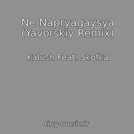 کاور آهنگ Ne Napryagaysya (Yavorskiy Remix) از Kalush Feat. Skofka