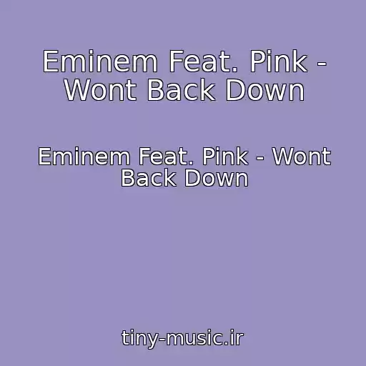 کاور آهنگ Eminem Feat. Pink - Wont Back Down از Eminem Feat. Pink - Wont Back Down