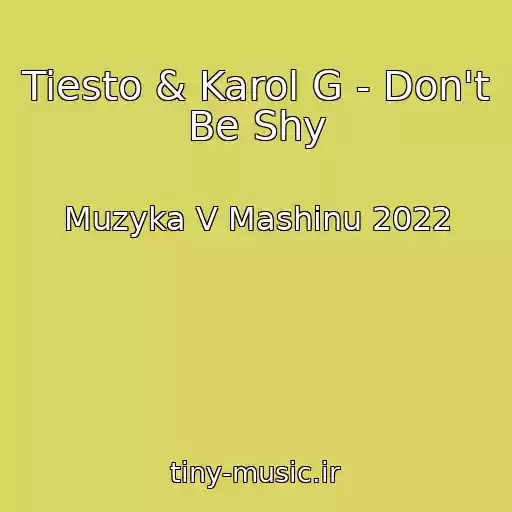 کاور آهنگ Tiesto & Karol G - Don't Be Shy از Muzyka V Mashinu 2022