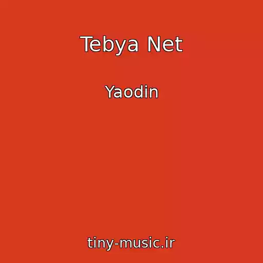 کاور آهنگ Tebya Net از Yaodin