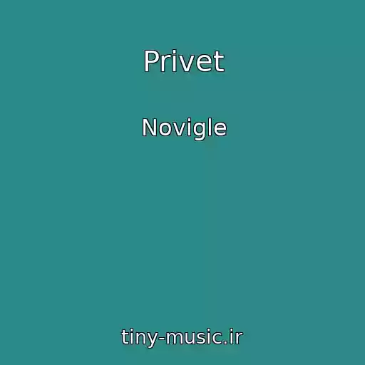 کاور آهنگ Privet از Novigle