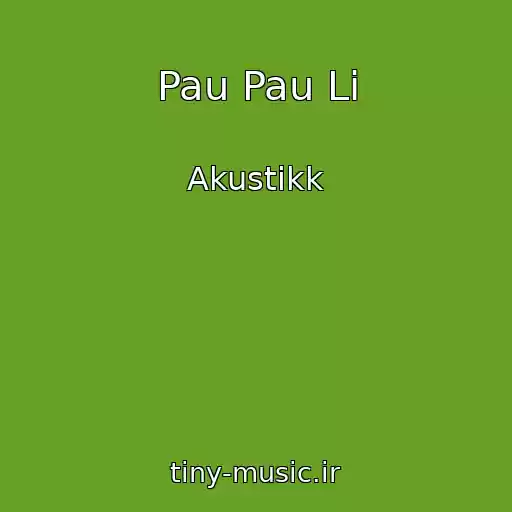 کاور آهنگ Pau Pau Li از Akustikk