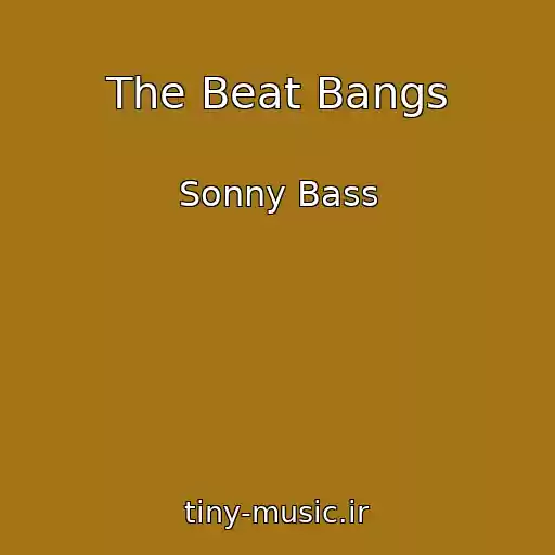 کاور آهنگ The Beat Bangs از Sonny Bass