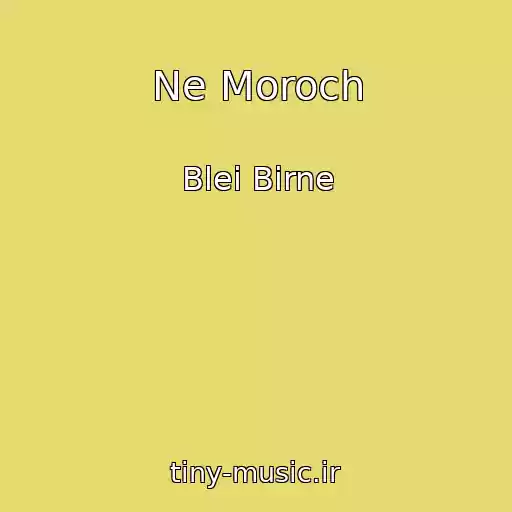 کاور آهنگ Ne Moroch از Blei Birne