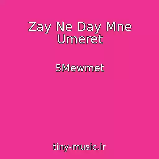 کاور آهنگ Zay Ne Day Mne Umeret از 5Mewmet